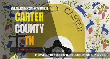 Electric Company Services: Carter County, TN Options Explored