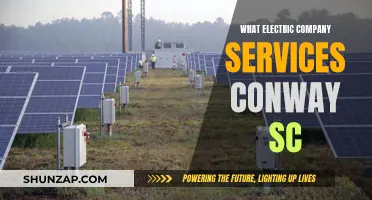 Electric Company Options for Conway, SC: Who Services the Area?