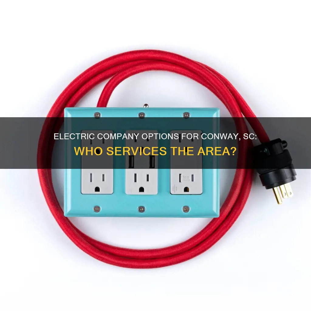 what electric company services conway sc