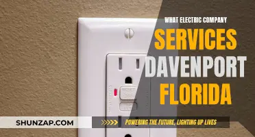 Davenport's Electric Company: Powering Your Home with Expert Services