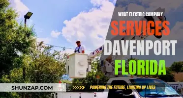 Electric Company Options for Davenport, Florida Residents
