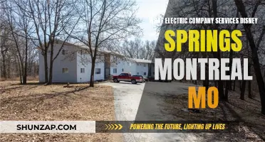 Electric Company Services: Disney Springs Montreal's Power Needs