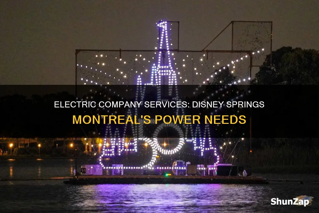 what electric company services disney springs montreal mo