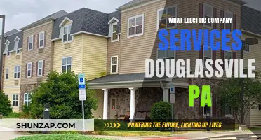 Electric Company Services: Douglassville, PA Options Explored