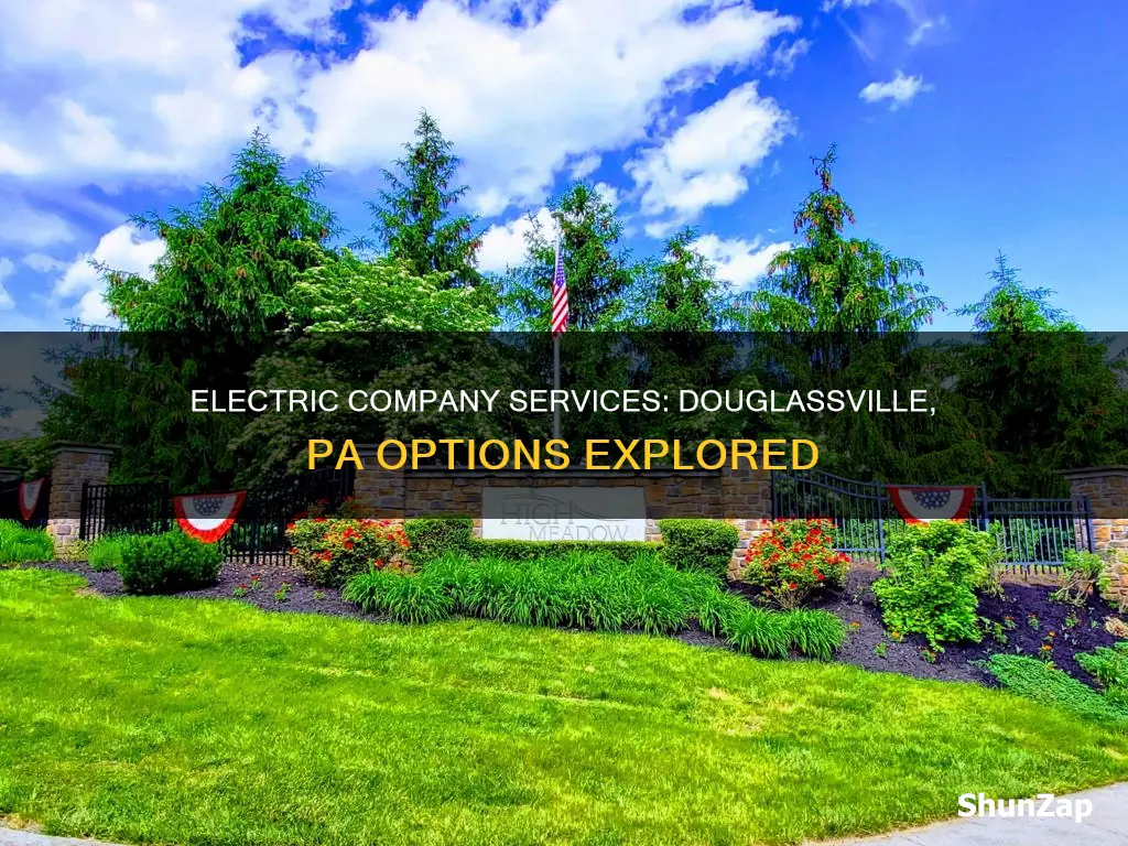 what electric company services douglassvile pa