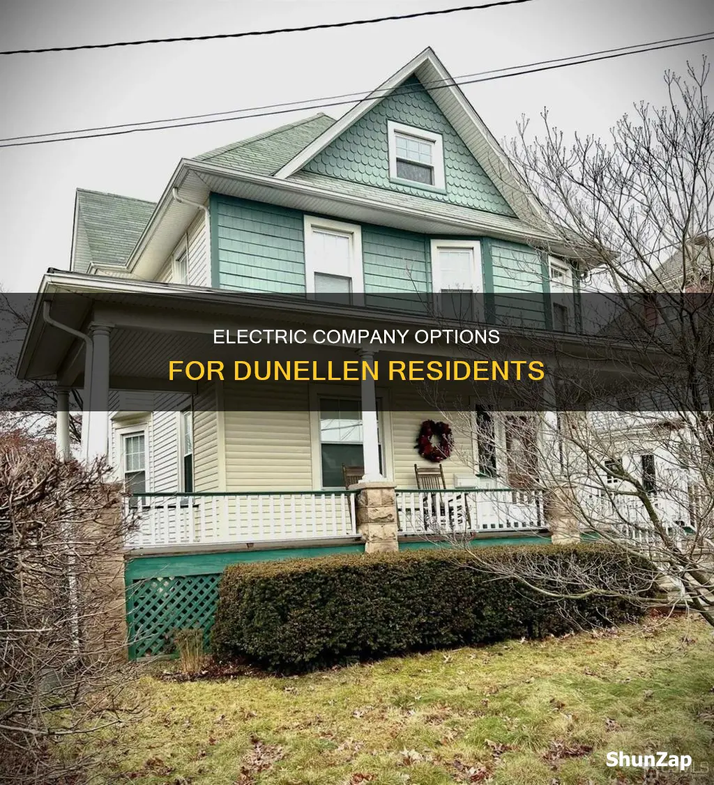 what electric company services dunellen