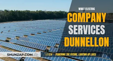 Electric Company Options for Dunnellon Residents