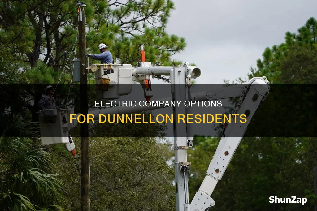 what electric company services dunnellon