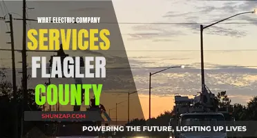 Flagler County's Electric Company: Powering Your Home with Expert Services