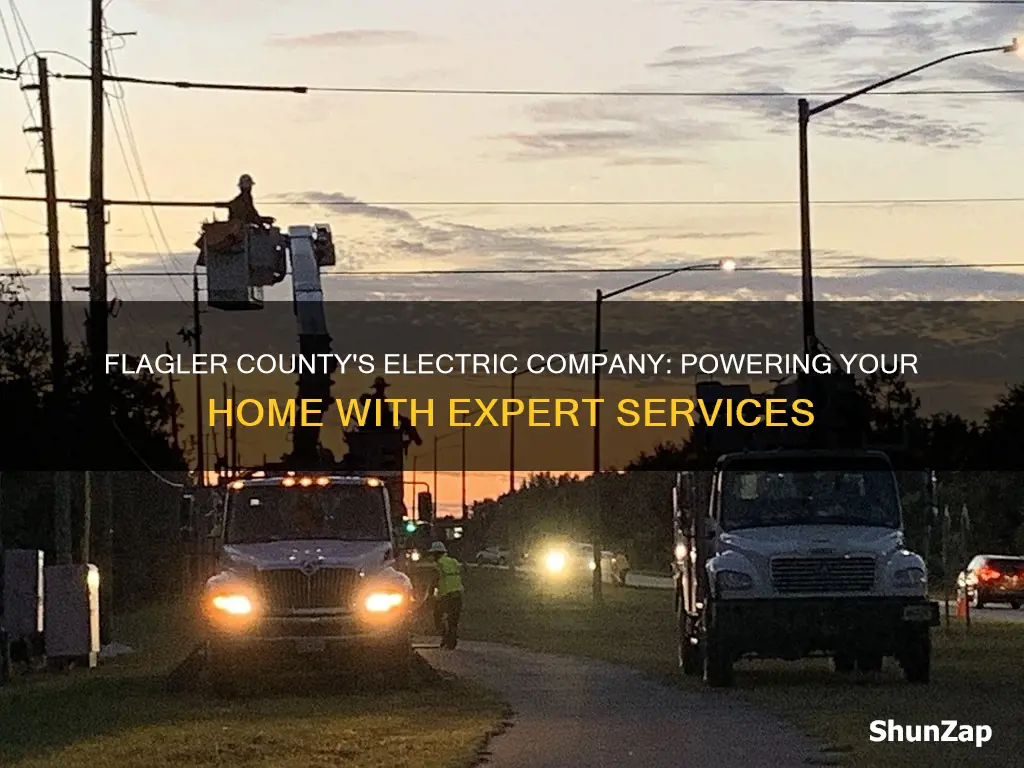 what electric company services flagler county