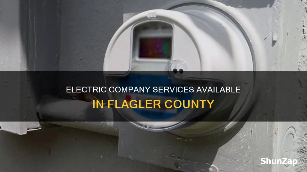 what electric company services flagler county
