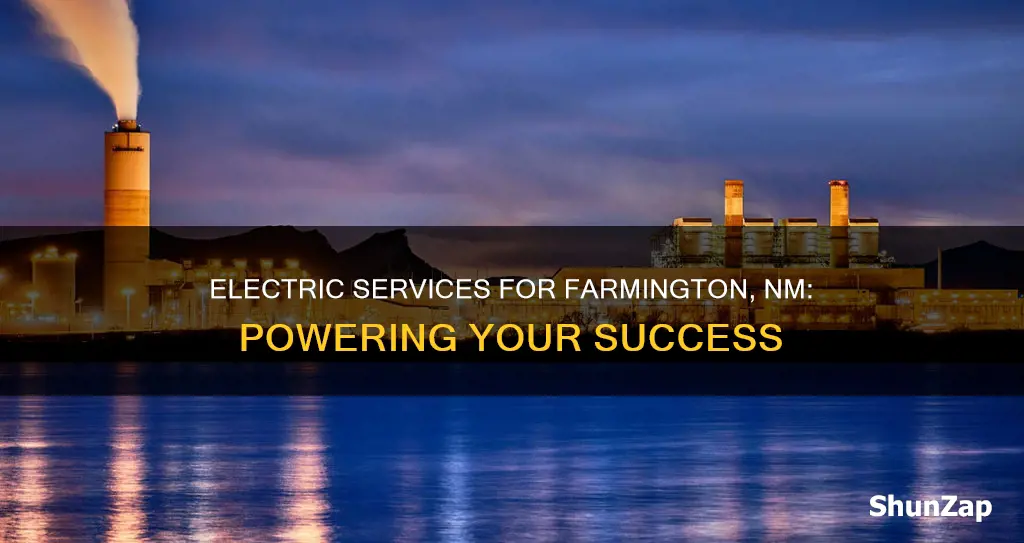 what electric company services for farmington nm