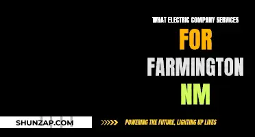 Electric Company Services Available in Farmington, NM: All You Need