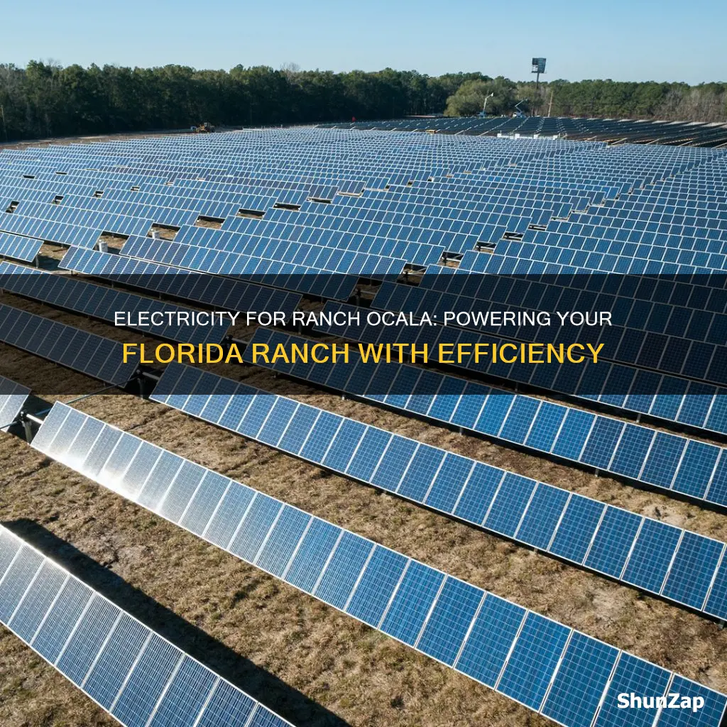 what electric company services fore ranch ocala fl