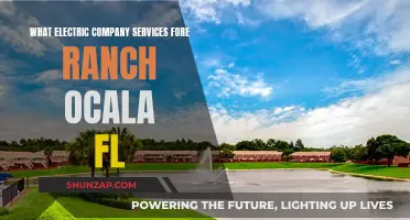 Electric Company Services for Golden Ocala, Florida: What You Need to Know