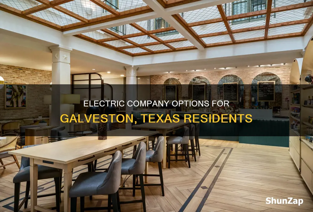 what electric company services galveston tx