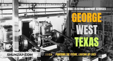Electric Company Options for George West, Texas Residents