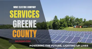 Electric Company Options for Greene County Residents