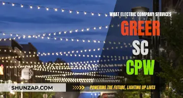 Electric Company Services in Greer, SC: What You Need to Know