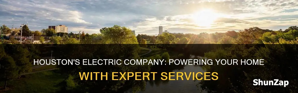 what electric company services houston tx