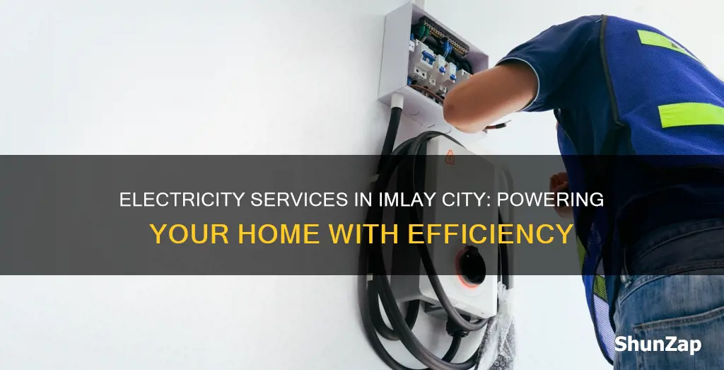 what electric company services imlay city mi