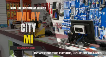 Electric Company Services: Imlay City, Michigan - Your Options Explored