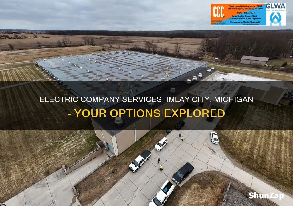 what electric company services imlay city mi