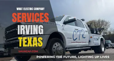 Electric Company Options for Irving, Texas: Who Services the Area?