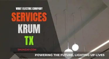 Krum's Electric Power: Unlocking Services for a Brighter Future