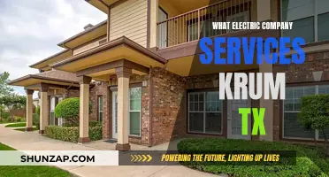 Electric Company Options for Residents of Krum, Texas