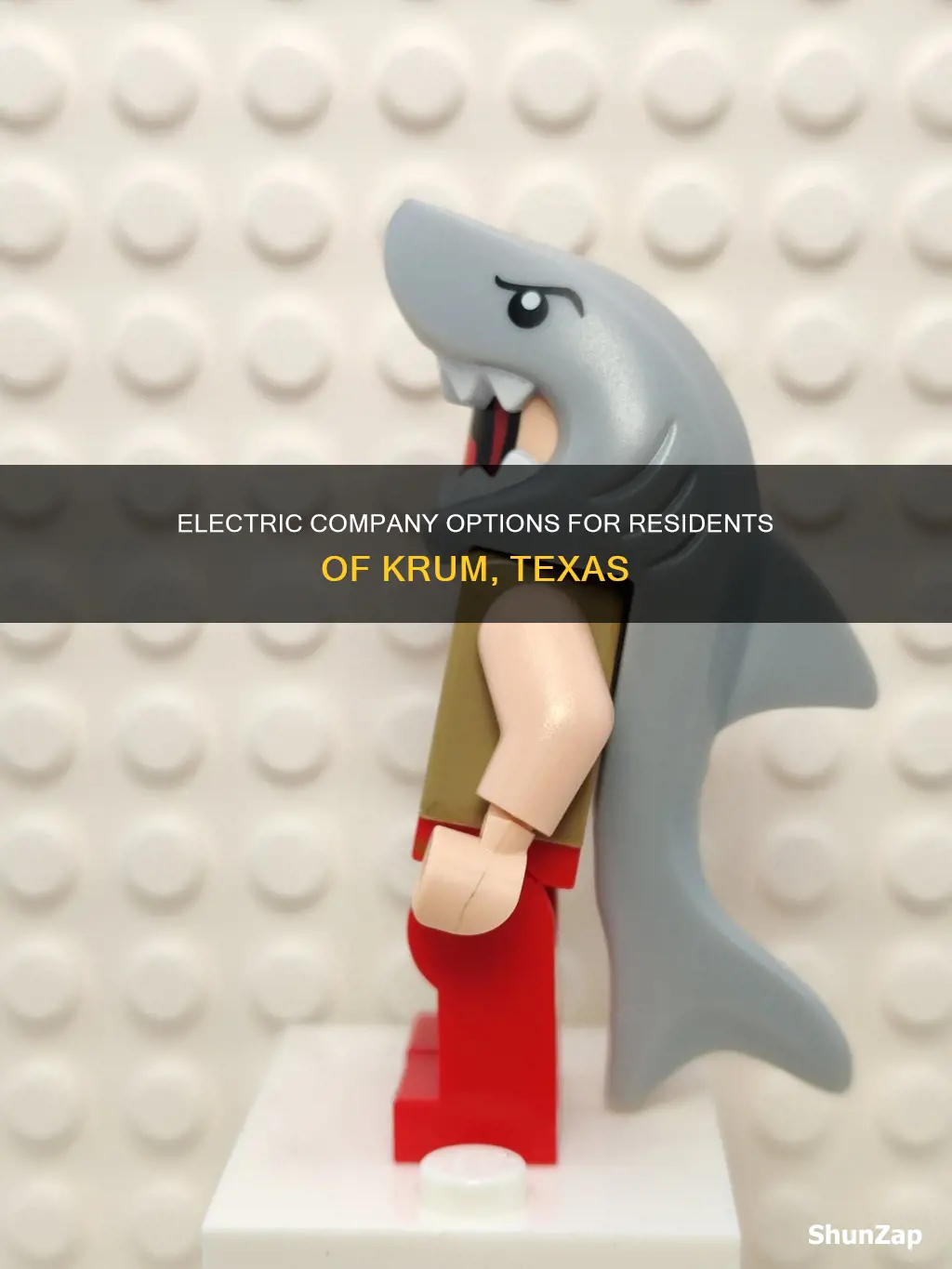 what electric company services krum tx