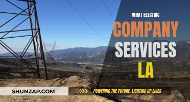 Unveiling LA's Electric Power: Essential Services Explored