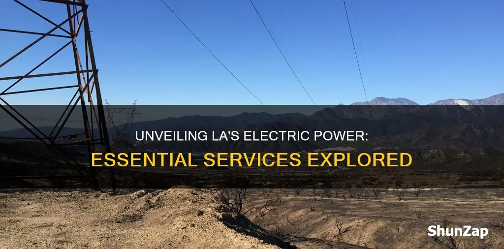 what electric company services la