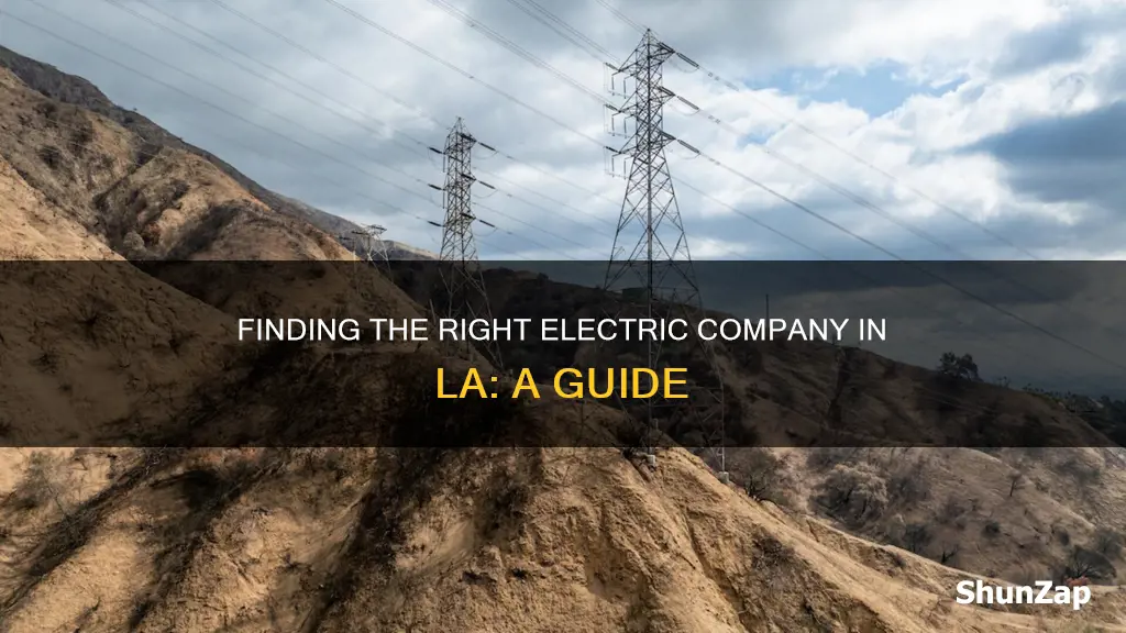 what electric company services la