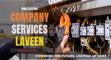 Laveen's Electric Company: Powering Your Home with Expert Services