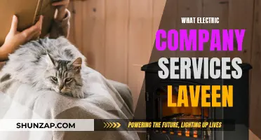 Electric Company Services in Laveen: Your Comprehensive Guide