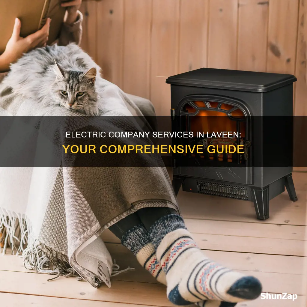 what electric company services laveen