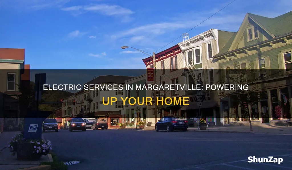 what electric company services margaretville ny