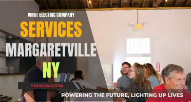 Electric Company Options for Margaretville, NY Residents