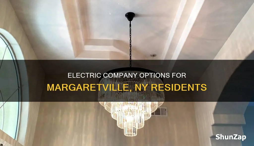 what electric company services margaretville ny
