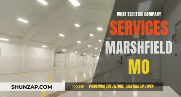 Electric Company Options in Marshfield, MO: A Comprehensive Guide