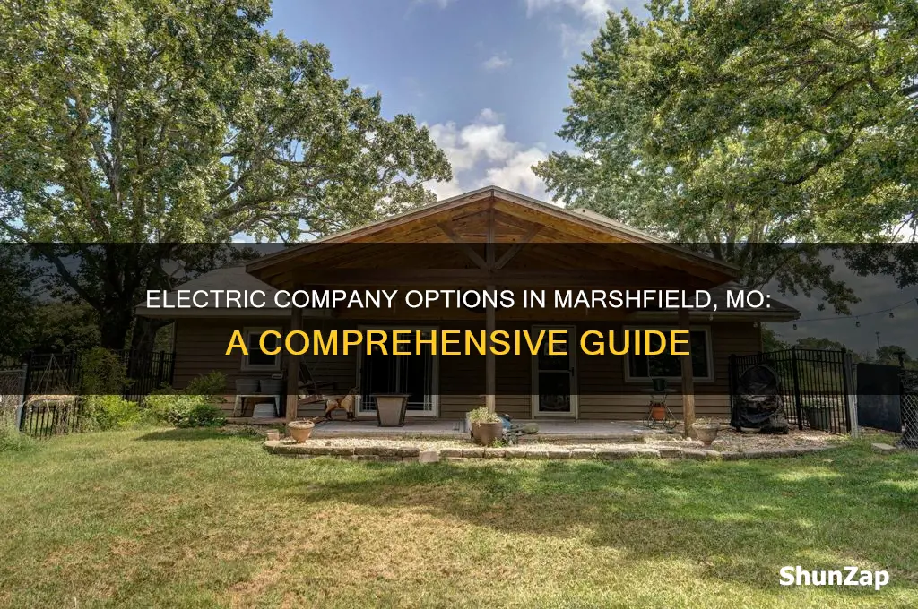 what electric company services marshfield mo