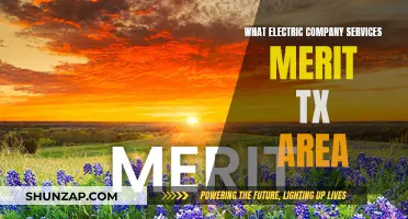 Electricity Services in Texas: Unlocking the Power of Merit