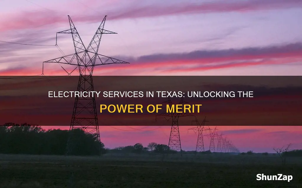 what electric company services merit tx area