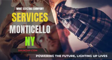 Electric Company Options for Monticello, NY: Who Services the Area?