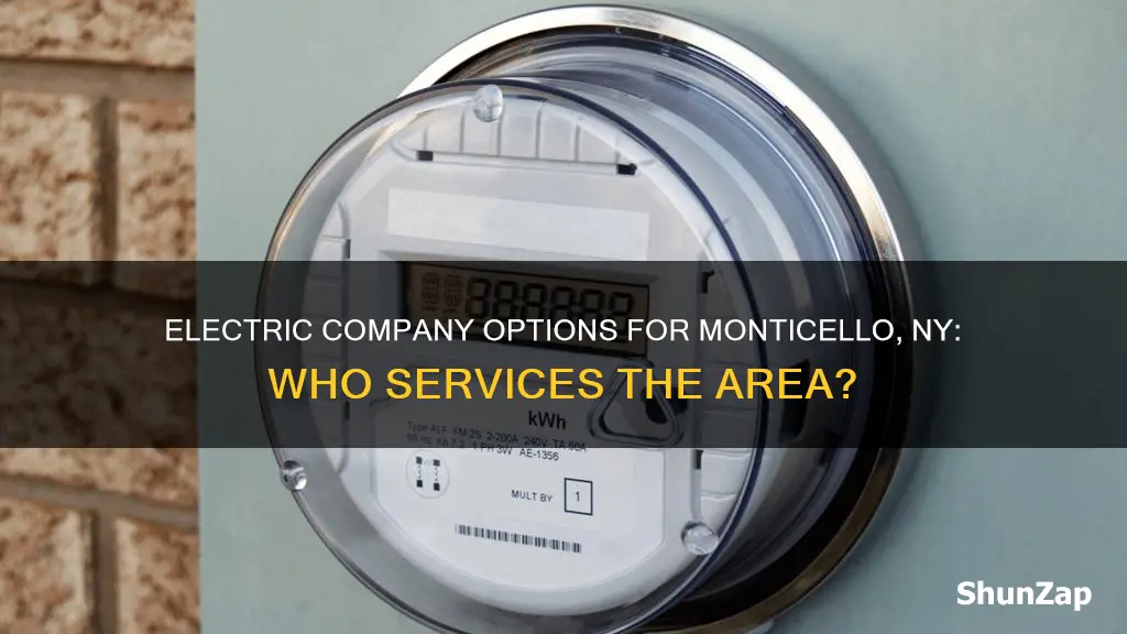 what electric company services monticello ny