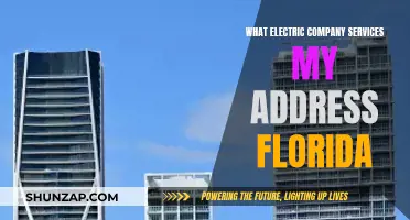 Electric Company Services: Florida Address-Specific Options