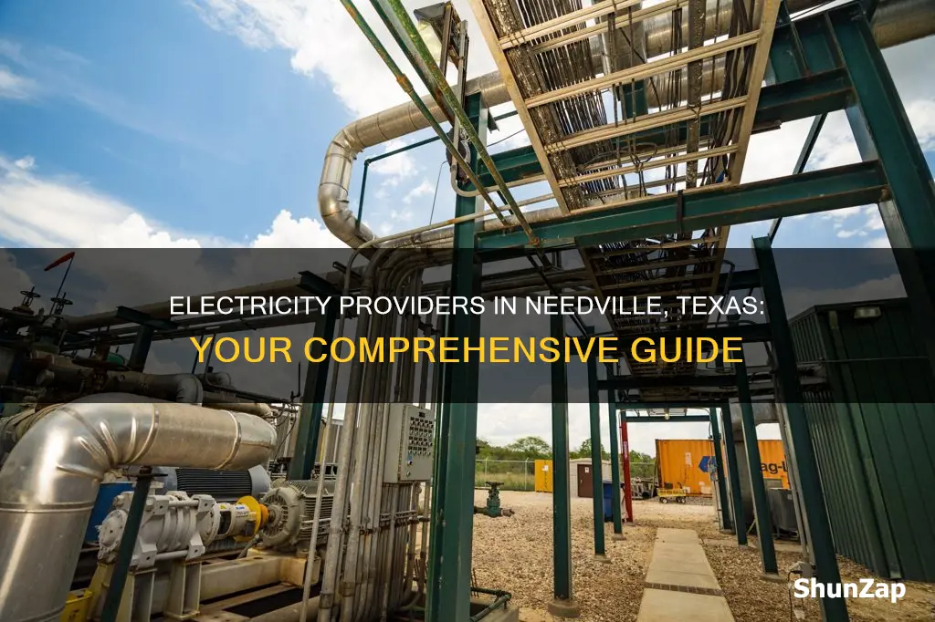 what electric company services my address in needville texas