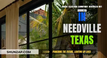 Electric Company Services in Needville, Texas: Who's Your Provider?