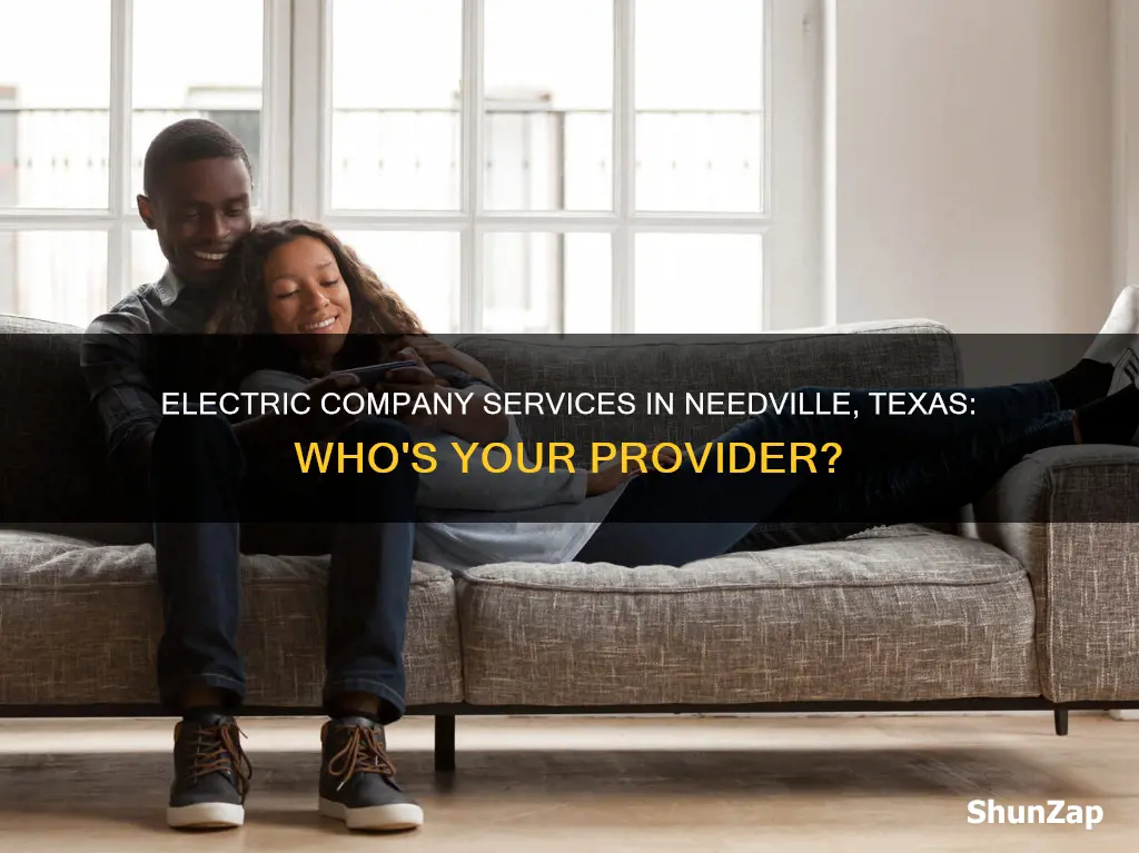 what electric company services my address in needville texas